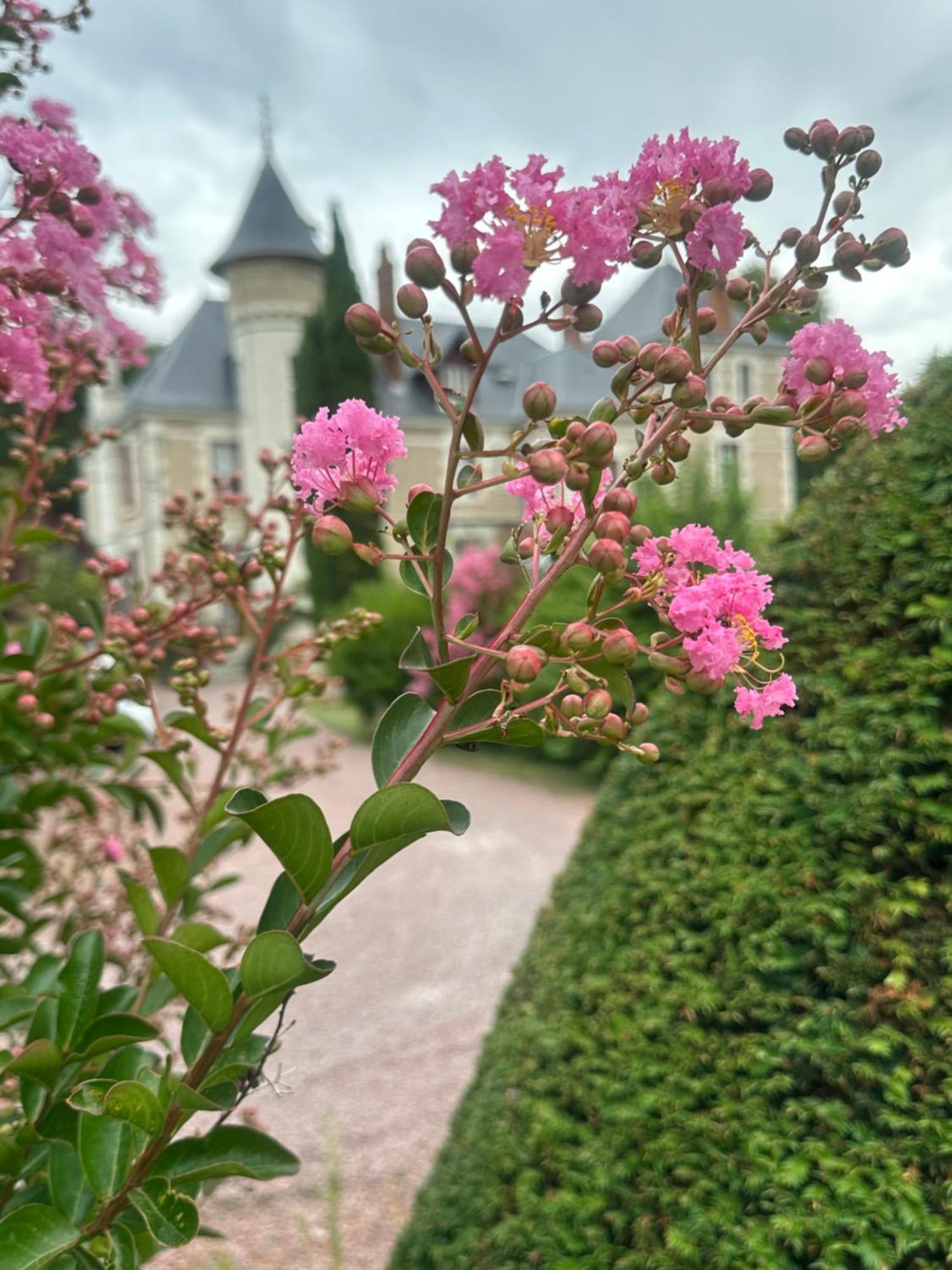 Le Moulin De Francueil Bed & Breakfast エクステリア 写真