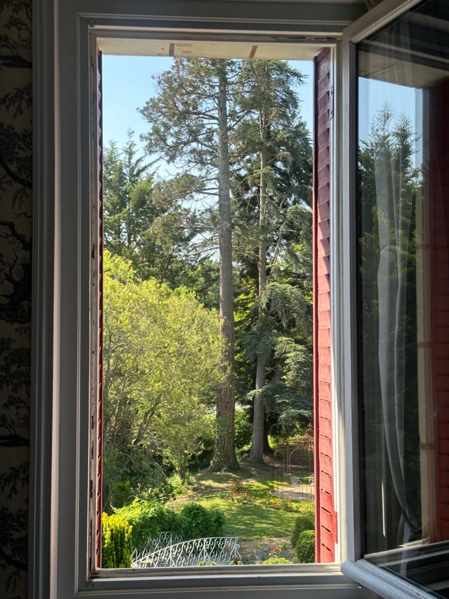 Le Moulin De Francueil Bed & Breakfast エクステリア 写真
